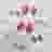 variant-2