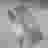 variant-0