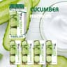 Cucumber