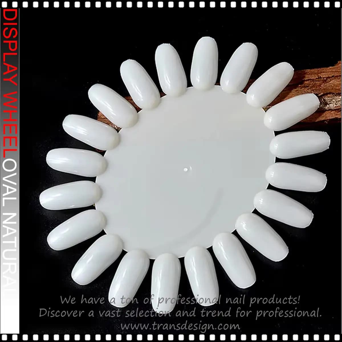 Natural Display Wheel Oval (10pcs/Pack)
