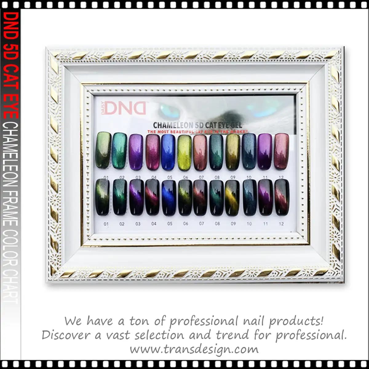 DND 5-D CAT EYE Chameleon Framed Color Chart
