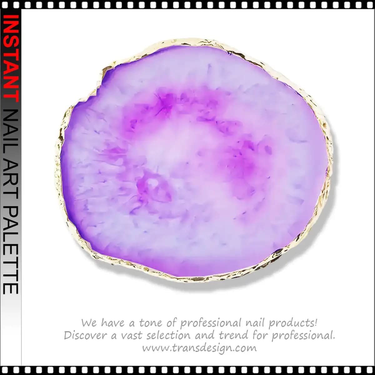 Color Palette 4" Purple
