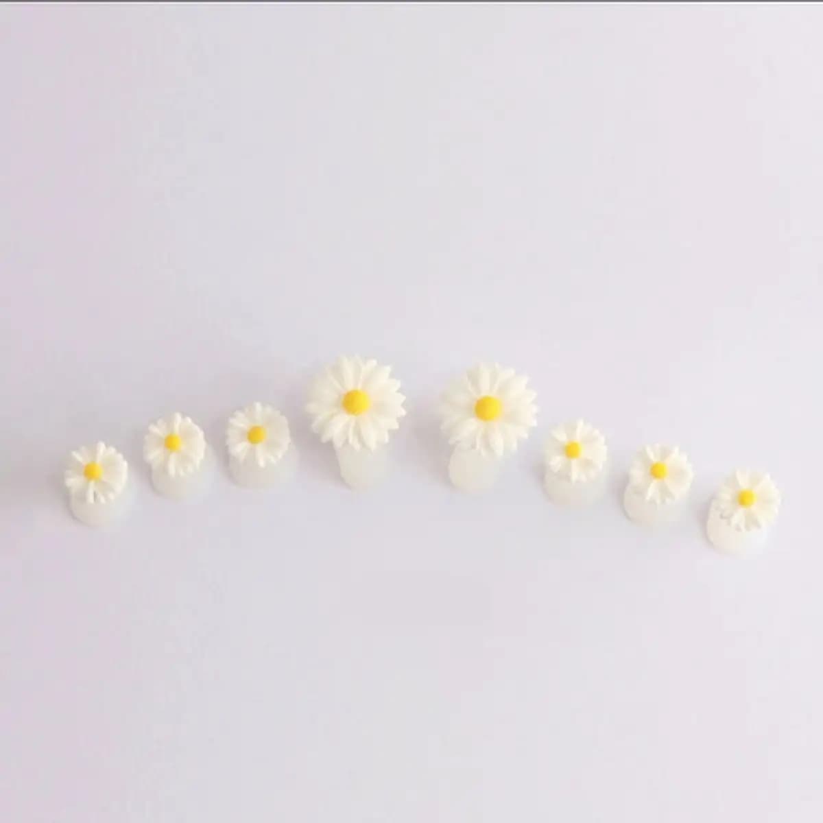 Yellow Daisy
