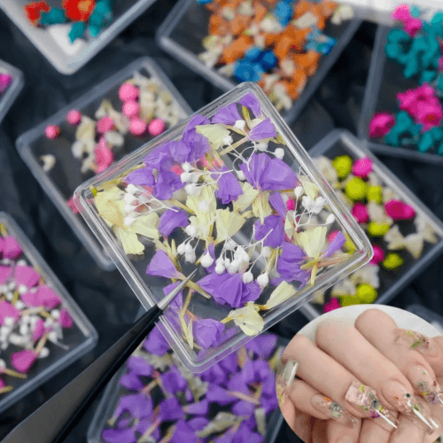 Dried Flower Monet Garden Collection