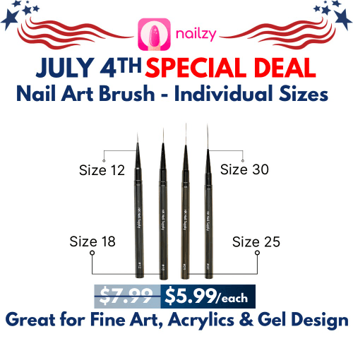 Nail Art Brush Set (4 pcs)