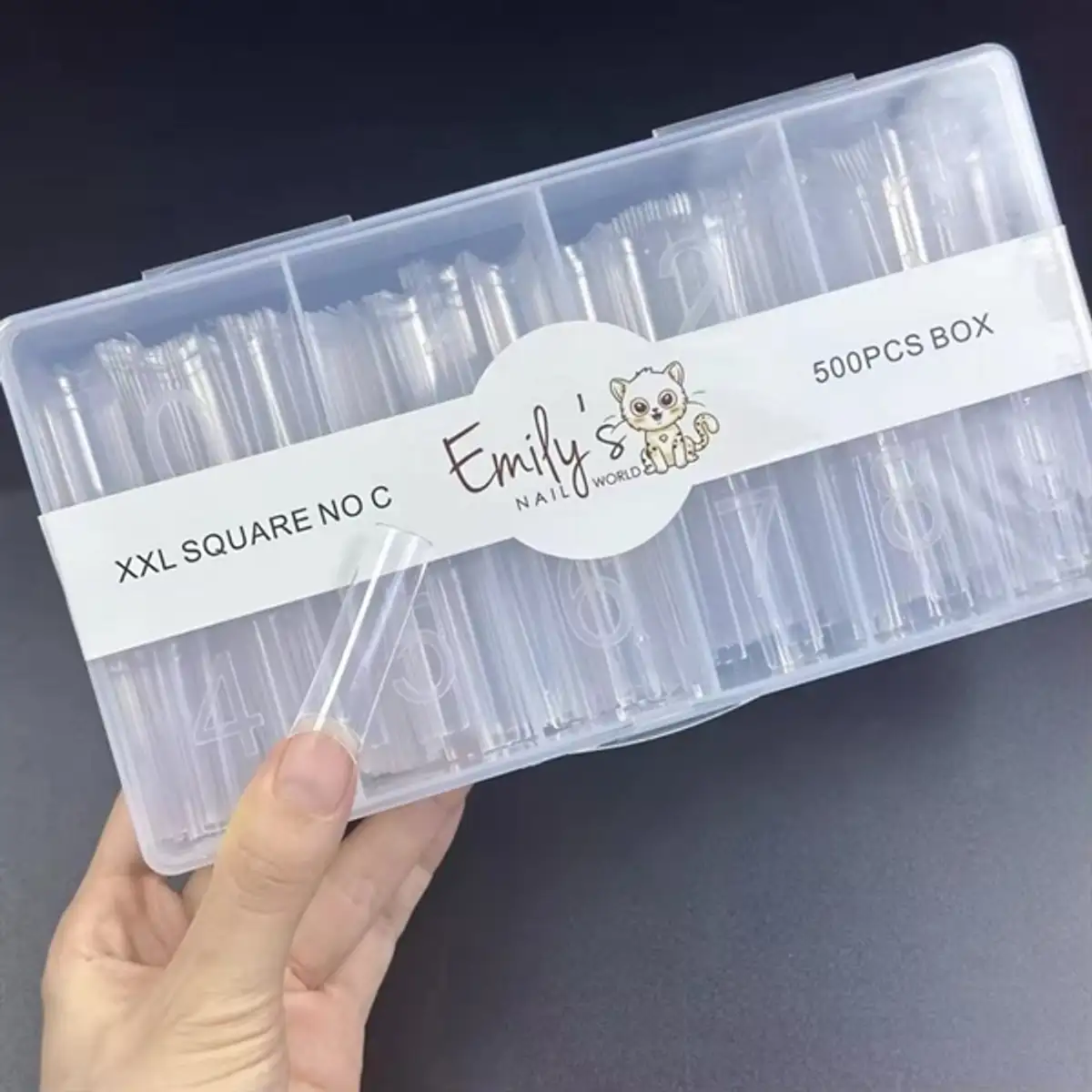 https://cdn.nailzy.com/products/main/68e6a2299a2a860485009de5