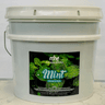 Mint- 4 gallons 